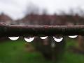 2013-0210-1350_Raindrops_3.9C